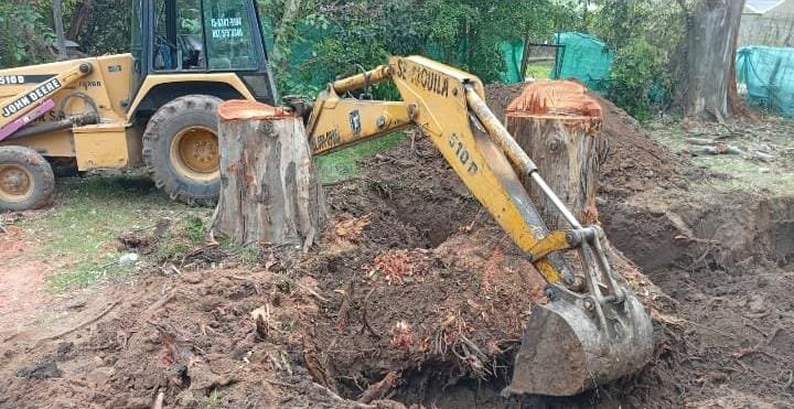 Retroexcavadora amarilla trabajando en la extracción de raíces